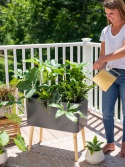 Ava Self-Watering Rectangular Planter -Backyard Bloomers 8612691 0011 1