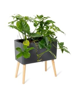 Ava Self-Watering Rectangular Planter -Backyard Bloomers 8612691 0013