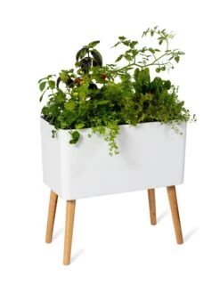 Ava Self-Watering Rectangular Planter -Backyard Bloomers 8612691 0014
