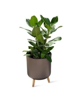 Ava Self-Watering Round Planter -Backyard Bloomers 8612692 0003