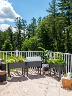 Self-Watering Standing Salad Planter With Cloche -Backyard Bloomers 8612702 2002 tif