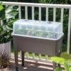 Self-Watering Standing Salad Planter With Cloche -Backyard Bloomers 8612702 2032 tif