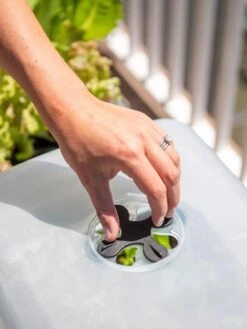 Self-Watering Standing Salad Planter With Cloche -Backyard Bloomers 8612702 2034 tif