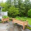 Craftsbury Elevated Raised Beds -Backyard Bloomers 8612709 0019 craftsbury elevated raised bed