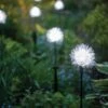 Dandelion Solar Stake 1 Dandelion Solar Stake -Backyard Bloomers 8612713 7149 dandelion solar stake