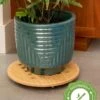 Bamboo Plant Caddy Round, 15.75" -Backyard Bloomers 8612716 14