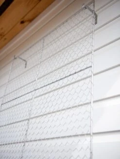 Chicken Wire Wall Trellis -Backyard Bloomers 8612717 0108