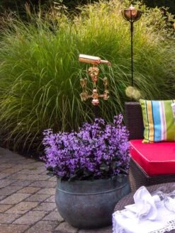 Sonoma Hose Pot -Backyard Bloomers 8612733 02V tif