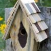 Vintage Wren Bird House -Backyard Bloomers 8612783 01v heartwood vintage wren bird house