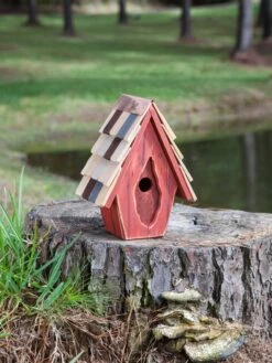 Vintage Wren Bird House -Backyard Bloomers 8612783 03v