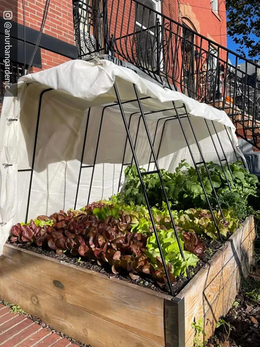 Cotton All Purpose Garden Cover 6 Cotton All Purpose Garden Cover - Image 4