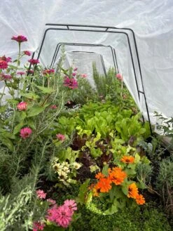 Zenith Garden Hoops, Set Of 4 -Backyard Bloomers 8612816 01TEST