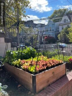 Zenith Garden Hoops, Set Of 4 -Backyard Bloomers 8612816 02CUST