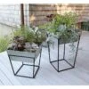 Achla Designs Arne Plant Stand 2 Achla Designs Arne Plant Stand -Backyard Bloomers 8612898 02v