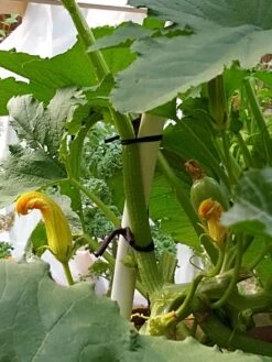 Farmyarn® Multipurpose Garden Tie, 2 Pack -Backyard Bloomers 8612948 01v