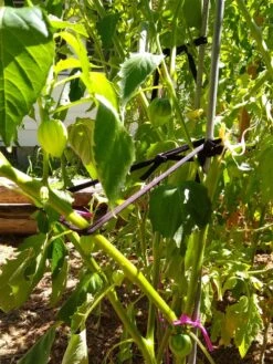 Farmyarn® Multipurpose Garden Tie, 2 Pack -Backyard Bloomers 8612948 02v