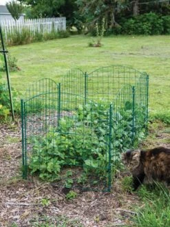 6 Panel Critter Fence With Gate -Backyard Bloomers 8612967 2570 tif