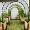 2’ X 4’ Arch Trellis For Planter Boxes 2 2’ X 4’ Arch Trellis For Planter Boxes -Backyard Bloomers 8612976 0414 arch trellis for 2 foot x 4 foot planter box