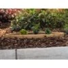 Wine Barrel Succulent Planter -Backyard Bloomers 8613034 01v