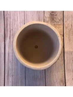 Concrete Honeycomb Bee Planter -Backyard Bloomers 8613044 04v