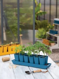 Gardener's Best® XL Seed Starting Kit -Backyard Bloomers 8613066 4185