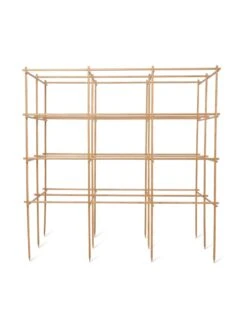 Tomato Six Pack Support -Backyard Bloomers 8613143 5408