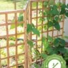 Bamboo Zig-Zag Trellis 24" X 36" 1 Bamboo Zig-Zag Trellis 24" X 36" -Backyard Bloomers 8613151 15