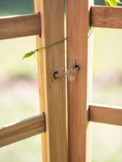 Bamboo Zig-Zag Trellis 24" X 36" -Backyard Bloomers 8613151 6483