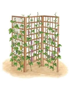 Bamboo Zig-Zag Trellis 24" X 36" -Backyard Bloomers 8613151 art flat