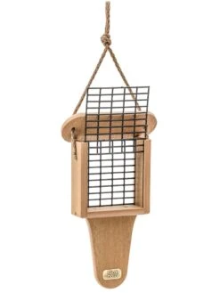 Spruce Creek Tail Prop Suet Feeder -Backyard Bloomers 8613211 02v
