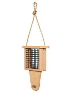 Spruce Creek Tail Prop Suet Feeder -Backyard Bloomers 8613211 05v