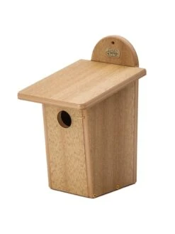 Spruce Creek Bluebird House 11 Spruce Creek Bluebird House -Backyard Bloomers 8613212 04v
