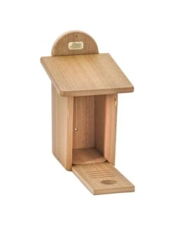 Spruce Creek Bluebird House 13 Spruce Creek Bluebird House -Backyard Bloomers 8613212 06v