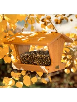 Spruce Creek Hopper Bird Feeder 9 Spruce Creek Hopper Bird Feeder -Backyard Bloomers 8613215 02v