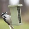 Birds Choice™ Suet Feeder 1 Birds Choice™ Suet Feeder -Backyard Bloomers 8613219 04v birds choice suet feeder