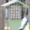 Birds Choice™ Tail Prop Feeder -Backyard Bloomers 8613220 08v