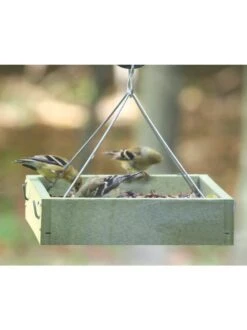 Birds Choice™ Tray Bird Feeder, Small 8 Birds Choice™ Tray Bird Feeder, Small -Backyard Bloomers 8613221 03v