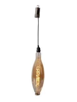 Retro Essence™ Vintage LED Light Bulbs -Backyard Bloomers 8613229 5979