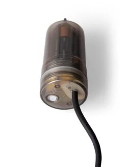 Retro Essence™ Vintage LED Light Bulbs -Backyard Bloomers 8613229 6123