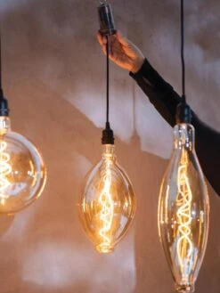 Retro Essence™ Vintage LED Light Bulbs -Backyard Bloomers 8613229 7066