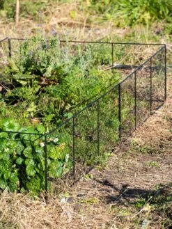 Chicken Wire Critter Fence, 16" High -Backyard Bloomers 8613249 0336