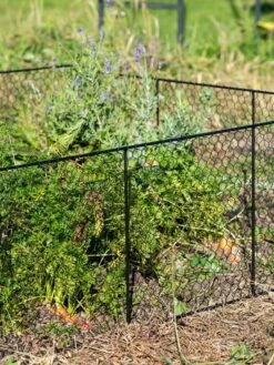 Chicken Wire Critter Fence, 16" High -Backyard Bloomers 8613249 0352