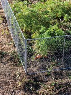Chicken Wire Critter Fence, 16" High -Backyard Bloomers 8613249 0358