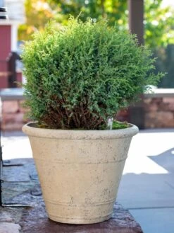 Self-Watering LavaStone® Anson Pot -Backyard Bloomers 8613255 0144