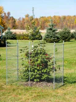 Tall Chicken Wire Critter Fence Extension Panel, Set Of 2 -Backyard Bloomers 8613260 0030 1