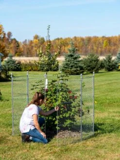 Tall Chicken Wire Critter Fence Extension Panel, Set Of 2 -Backyard Bloomers 8613260 0044 1