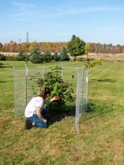 Tall Chicken Wire Critter Fence Extension Panel, Set Of 2 -Backyard Bloomers 8613260 0090