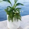 Arden Round Planter -Backyard Bloomers 8613267 0112 arden round planter