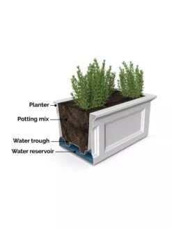 Fairfield Self-Watering Elevated Garden Bed -Backyard Bloomers 8613283 07V 3 4