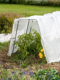 Zenith Garden Hoops, Set Of 4 -Backyard Bloomers 8613313 0133